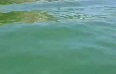 Imagem 3: Financiamento sem entrada local nobr7e