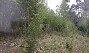 Imagem 7: Area para Venda - 0m², 0 dormitórios, Belém Velho