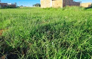 Imagem 5: Vendo Lotes Residencial Acropolis