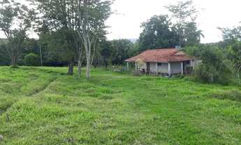 Imagem 2: SÍTIO COM CAFÉ !!!