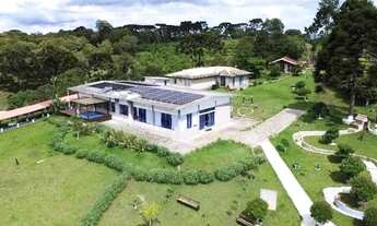 Imagem 2: Excelente chácara com 40.000m² em Campina Grande do Sul