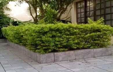 Imagem 6: Casa Residencial à venda, Vila Rosália, Guarulhos - CA0944