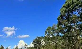 Imagem 5: Sítio Atibaia 2 Alqueires . ( 48.400 mts