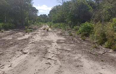 Imagem 4: 04 áreas em Santarém na Estrada de Carapanari para Venda, Santarém, Estado do Pará com 44