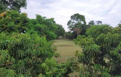 Imagem 7: Belíssima Chácara AMBEV aceita 100% de permuta