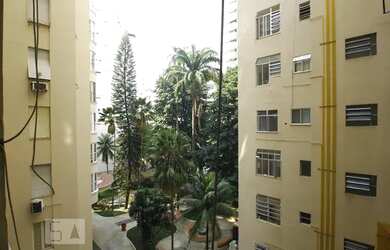 Imagem 7: Apartamento para Aluguel - Flamengo, 1 Quarto, 25 m2