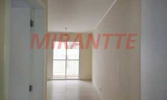 Imagem 2: Lindo apartamento em Vila Rosália