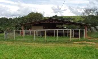 Imagem 5: Fazenda 3 alqueire