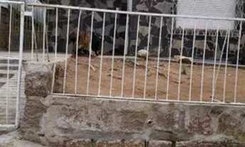 Imagem 2: Casa em Tristeza