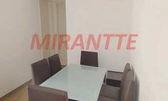 Imagem 2: Lindo apartamento em Vila Rosália