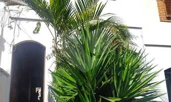 Imagem 3: São Paulo - Casa Padrão - TREMEMBÉ