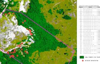 Imagem 7: Terreno para Venda - 0m², 0 dormitórios, Vila Nova