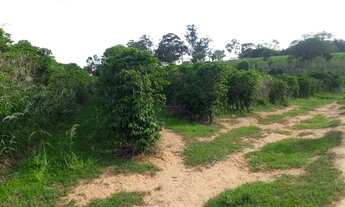 Imagem 5: SÍTIO COM CAFÉ !!!