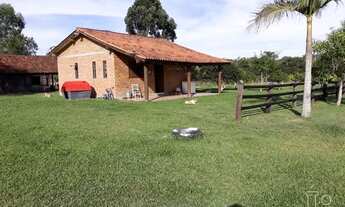 Imagem 5: Sítio para Venda - 40685m², 0 dormitórios, Lami