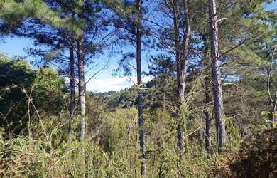 Imagem 5: Chácara Campo Largo 27.000m²