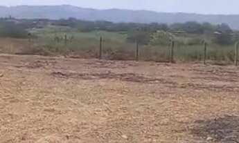 Imagem 2: LOTES PARA CHÁCARA GAVIÃO