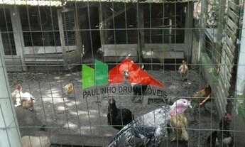 Imagem 6: REF 035; Lindo Sítio em Ratones, Florianópolis/SC