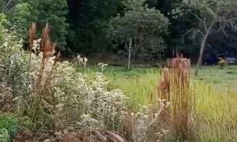 Imagem: O SEU CANTINHO QUE DESEJA