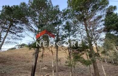 Imagem 2: Lote em Rua Olavo Jaguaribe Ekman - Vale Encantado - Campos do Jordão/SP