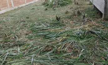 Imagem 7: Terreno Em Campo Grande