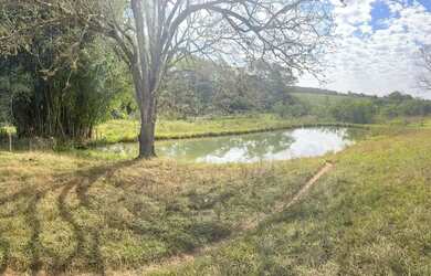 Imagem: Imóvel para venda possui 181500 metros