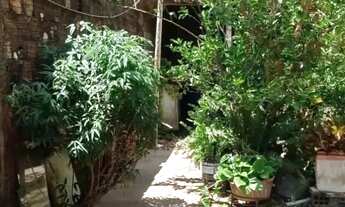 Imagem 3: VENDA - CASA - JARDIM TROPICAL