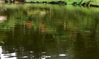 Imagem 7: Linda chácara à venda