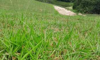 Imagem 7: Terrenos para venda tem 1000 metros quadrados em Setubal - Mairinque - SP
