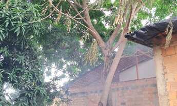 Imagem 2: Vende-se um lote na rua montevideu quadra 50 lote 25 parque das nações Aparecida de go