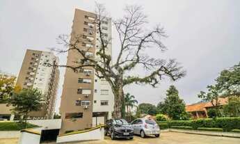 Imagem 3: Apartamento 49,01m², 1 dormitório, 1 vaga no bairro Teresópolis