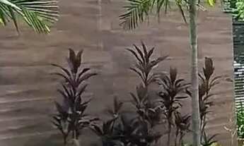 Imagem: Lote de Terreno em Pendotiba Natureza, Sossego