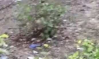 Imagem 4: Terreno 10 de frente por 22 de fundo!