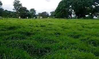 Imagem 3: Chácara à venda em Matrinchã, Goiás 15 Alqueires