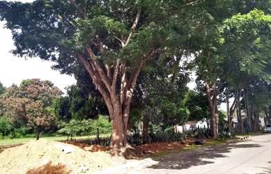 Imagem 3: Área Residencial/Comercial de 6.855 m² à Venda Jardim América- Goiânia