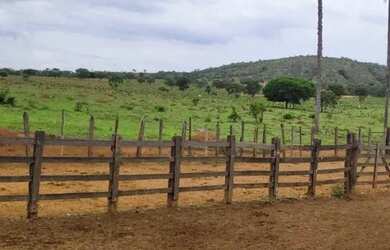 Imagem 7: Fazenda 1.512 há, casa sede e de caseiro, nascentes, com acesso ao rio cipó