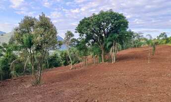 Imagem 6: Sítio / Chácara para Venda em Nova Petrópolis, Arroio Paixão