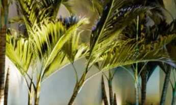 Imagem 7: VENDE- SE CASA TERRAS ALPHAVILLE Teresina