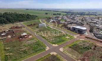 Imagem 7: Terreno à Venda no Residencial Pimenta  200 m  Maringá PR