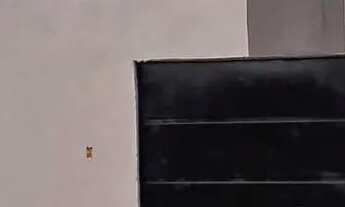 Imagem: 07-Casa no Bequimão