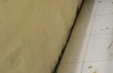 Imagem 7: Vendo e alugou uma casa