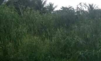 Imagem 3: Vende-se terreno 18x100