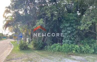 Imagem 6: Lote em Alameda São Caetano - Boracéia - São Sebastião/SP