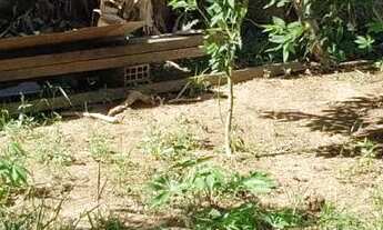 Imagem 4: Lote em Rua Escritor Rui Barbosa - Belvedere - Ribeirão das Neves/MG