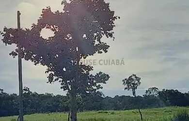 Imagem 5: Chácara 13 hectares Coxipo do Ouro