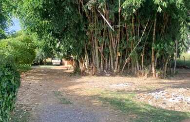 Imagem 2: Chácara em Jardim Marajoara - Nova Odessa