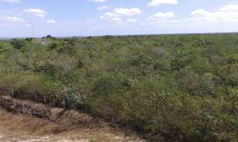 Imagem 3: Excelente Oportunidade de Investimento!