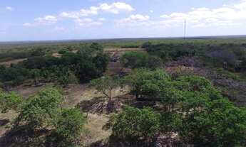 Imagem 4: Excelente Oportunidade de Investimento!