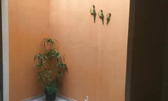 Imagem 7: Aluguel casa 3 quartos uma suíte - Franciscanos