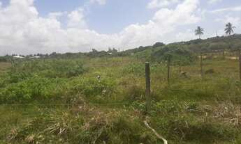 Imagem 3: Terreno na Praia do Abaís