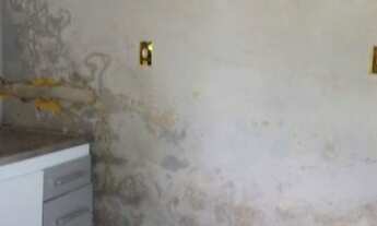 Imagem 7: Terreno em Cotijuba 50.000,00